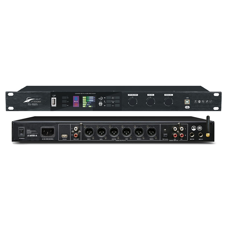 TS-7025效果器